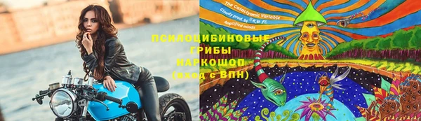 мдпв Нея