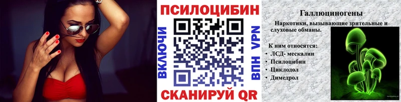Псилоцибиновые грибы Psilocybe  цена   блэк спрут ONION  Нахабино 